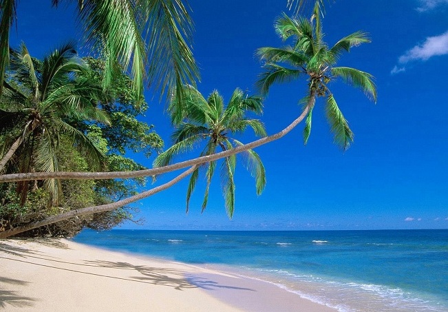 Mỹ lắp cảnh báo bom hạt nhân Triều Tiên cho 1,4 triệu dân - 2