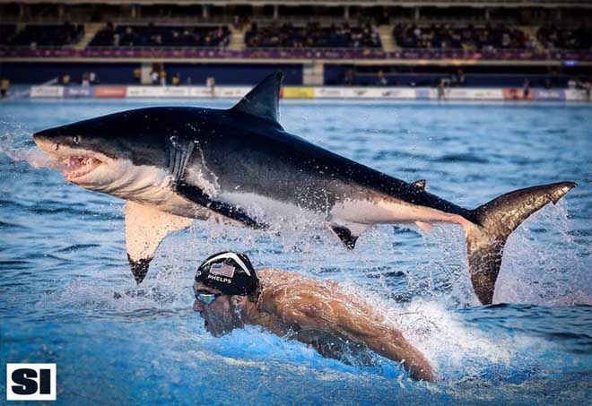 Huyền thoại Michael Phelps đua với cá mập: Khán giả sốc và phẫn nộ - 1