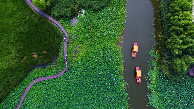 Tảo Trang, Trung Quốc: Các công viên ngập nước Hồng Hà ở thành phố Tảo Trang gây ấn tượng với cánh đồng hoa sen vào mùa hè.