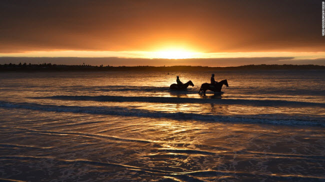 Warrnambool, Australia:  Du khách cưỡi ngựa dưới ánh hoàng hôn trên bãi biển Lady Bay.