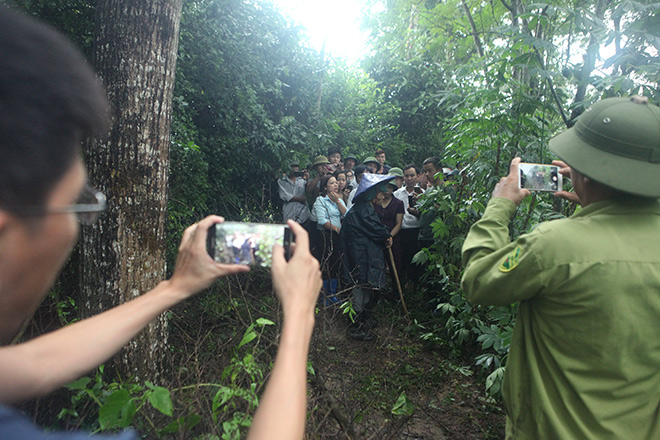 Giáp mặt với gia đình “người rừng” trong khu vườn kì bí - 3