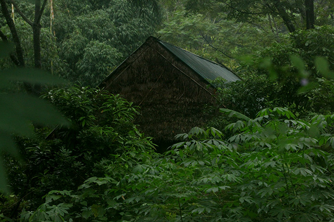 Giáp mặt với gia đình “người rừng” trong khu vườn kì bí - 9