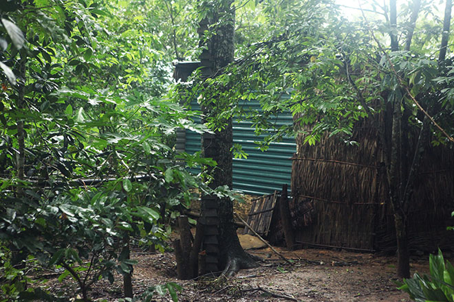 Giáp mặt với gia đình “người rừng” trong khu vườn kì bí - 8