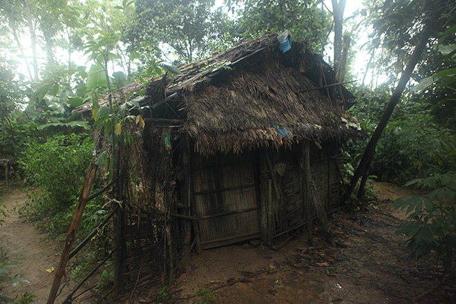 Giáp mặt với gia đình “người rừng” trong khu vườn kì bí - 4