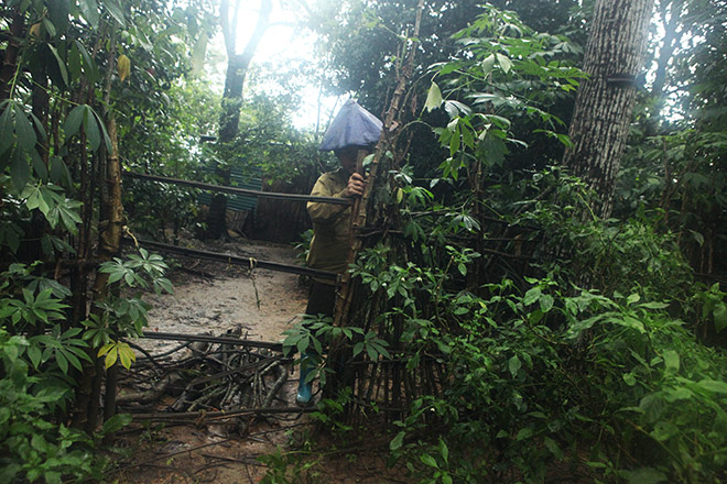 Giáp mặt với gia đình “người rừng” trong khu vườn kì bí - 12