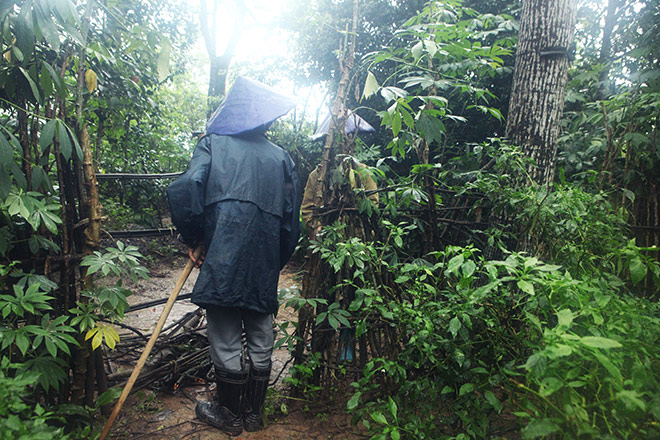 Giáp mặt với gia đình “người rừng” trong khu vườn kì bí - 14