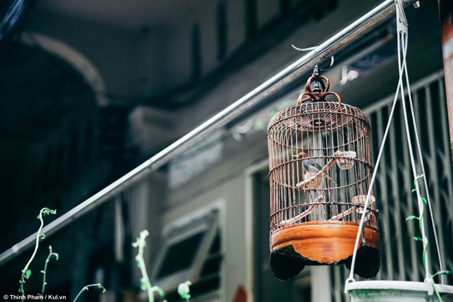 Hào Sĩ Phường - Hẻm sống chậm giữa lòng Sài Gòn - 14