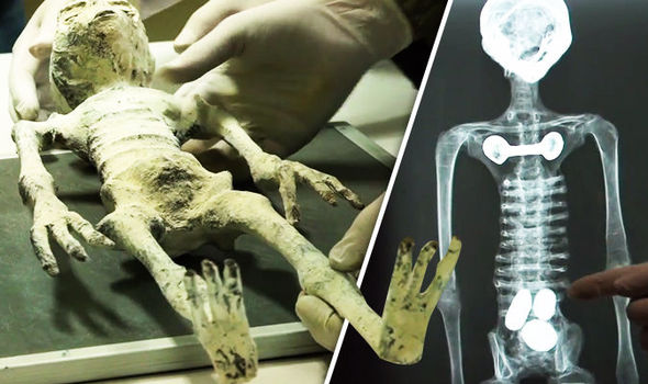 Xác “người ngoài hành tinh” bên trong hầm mộ Peru đang mang thai? - 1
