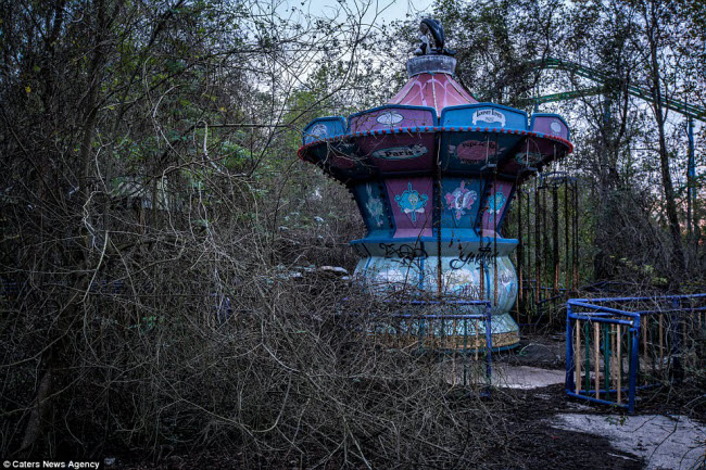 Cây dại mọc phủ kín các khu vui chơi trong công viên bỏ hoang suốt 12 năm.
