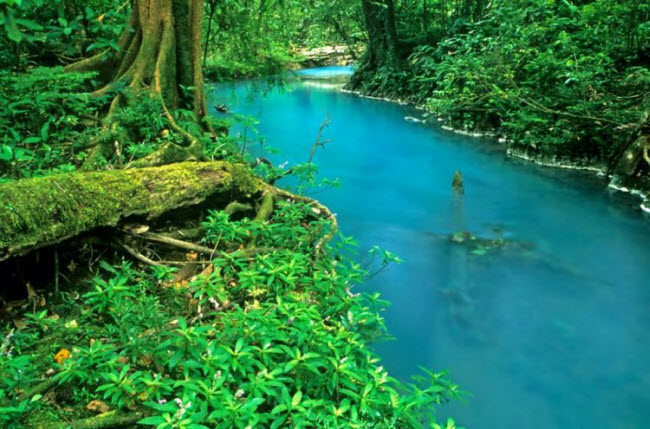 Giải mã màu nước xanh bí ẩn của dòng sông ở Costa Rica - 1