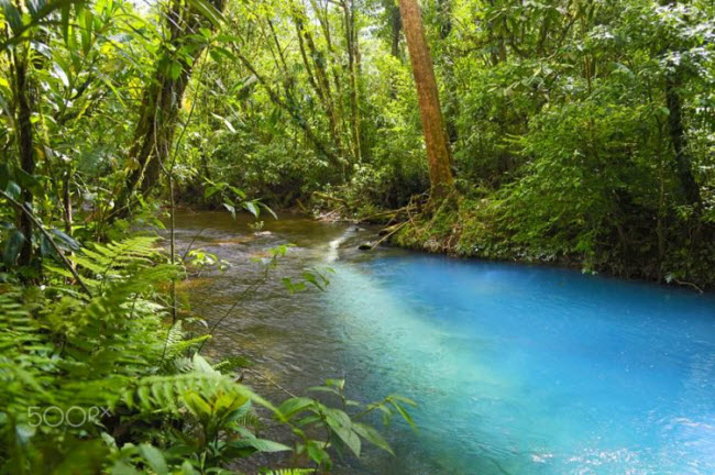 Giải mã màu nước xanh bí ẩn của dòng sông ở Costa Rica - 5
