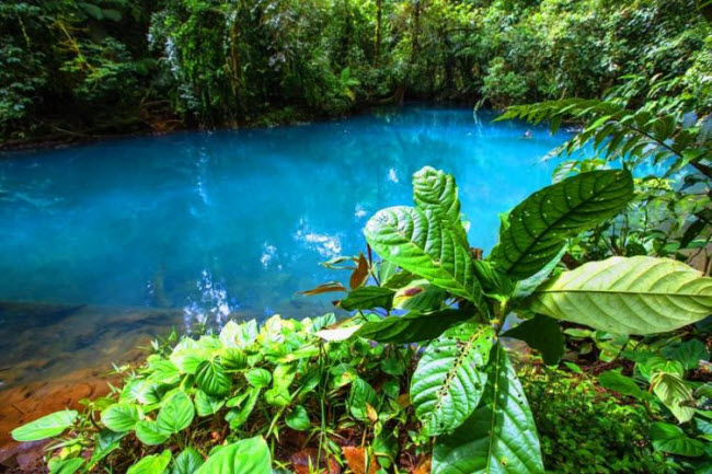 Giải mã màu nước xanh bí ẩn của dòng sông ở Costa Rica - 6