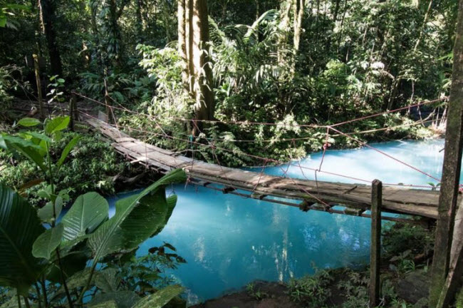 Giải mã màu nước xanh bí ẩn của dòng sông ở Costa Rica - 2