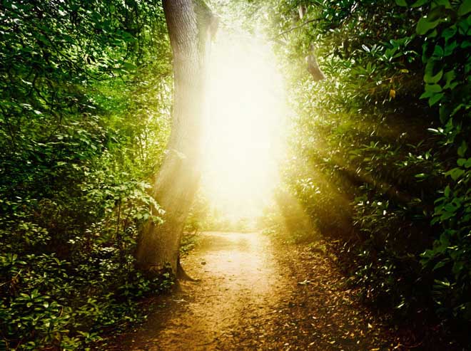 Những cảm giác trước khi chết phổ biến nhất của con người - 2