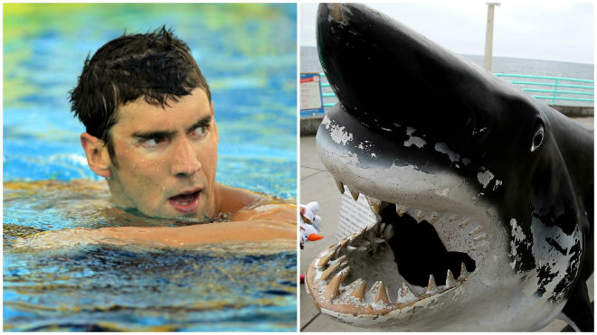 Phelps đua cá mập là trò hề, xem “Ma tốc độ” mới hấp dẫn - 1