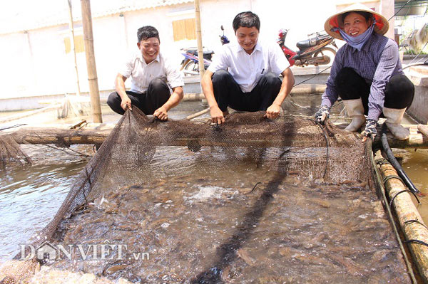 “Bắt” cá bống bớp đẻ theo ý muốn, tưởng gàn mà kiếm 5 tỷ đồng/năm - 3