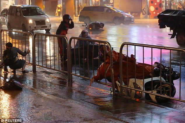 Gió bão 180km/giờ thổi bay người ở Đài Loan - 2