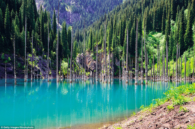 Hồ Kaindy, dãy núi Tian Shan, Kazakhstan: Hồ Kaindy rất nổi tiếng với những người đam mê môn lặn, nhưng cũng là một cảnh tượng hấp dẫn nhìn từ đất liền. Hồ được tạo ra bởi một trận động đất lớn vào năm 1911, nhấn chìm hoàn toàn cả một khu rừng.