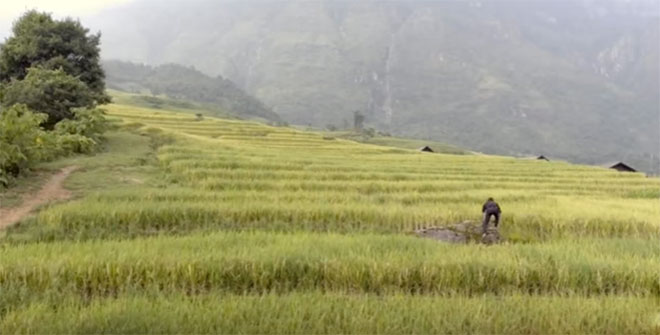 Tập 38 Người phán xử: Số phận Trần Tú được định đoạt - 2