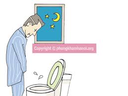 Đi tiểu 2 lần/1 đêm - Con đường ngắn nhất dẫn đến suy thận - 1