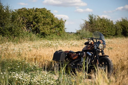 Harley-Davidson Forty-Eight độ phong cách viễn tưởng - 1