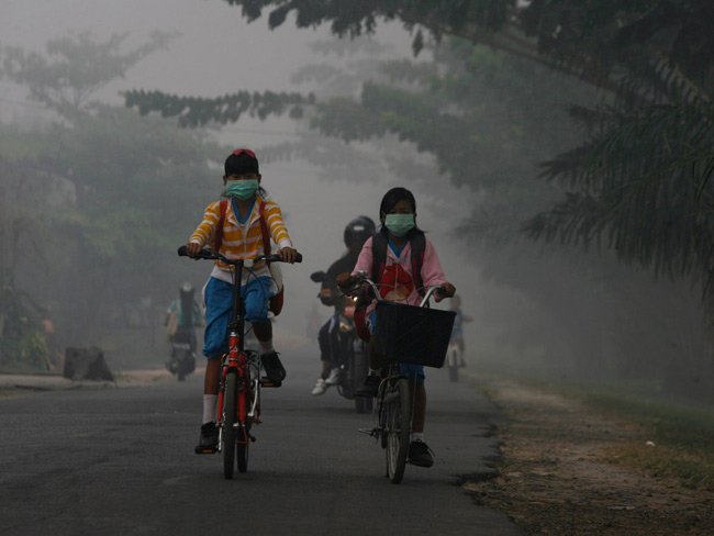 Mức độ ô nhiễm không khí ở tỉnh Kalimantan, miền Trung Indonesia ngày càng gia tăng trong những năm gần đây. Vì vậy, học sinh phải đạp xe đến trường vượt qua những con đường khói bụi dày đặc.