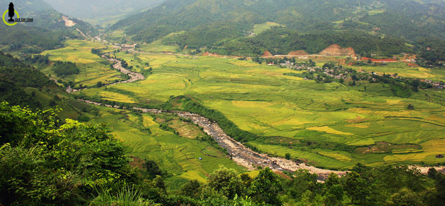 Lạc lối trong thung lũng lúa chín tráng lệ nhất Lào Cai - 1