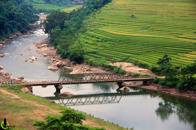 Lạc lối trong thung lũng lúa chín tráng lệ nhất Lào Cai - 12