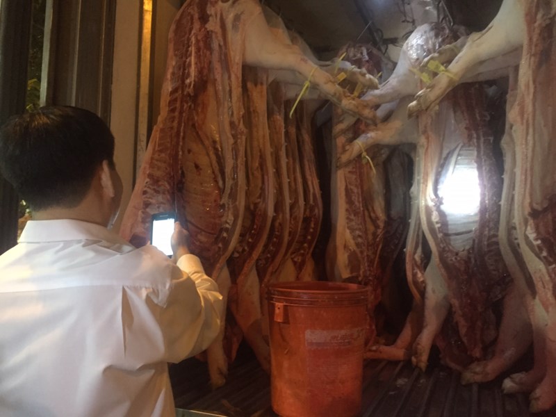 Chiếc vòng không làm nên heo sạch - 4