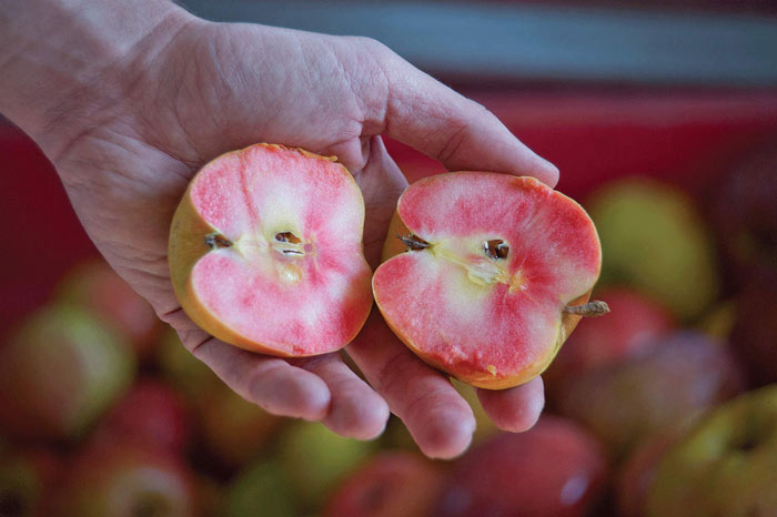 Mê mẩn loại táo Mỹ lạ &#34;xanh vỏ - hồng lòng&#34; siêu dễ thương - 1