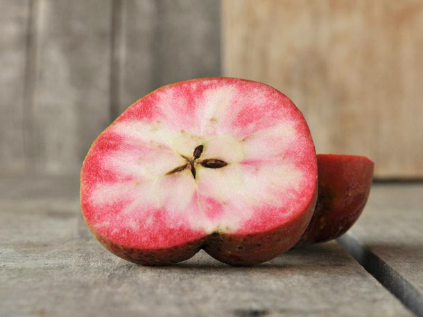 Mê mẩn loại táo Mỹ lạ "xanh vỏ - hồng lòng" siêu dễ thương - 2