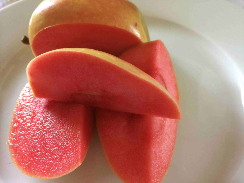 Mê mẩn loại táo Mỹ lạ "xanh vỏ - hồng lòng" siêu dễ thương - 5