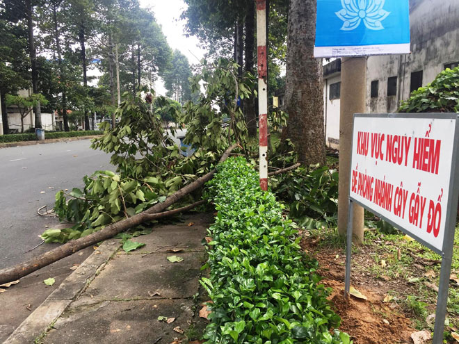 Ngồi bên đường ăn sáng, cô gái nguy kịch vì họa &#34;trên trời&#34; rơi xuống - 2