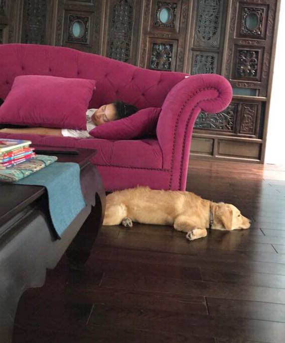 Mr Đàm thản nhiên bế "gái đẹp" vào lòng trước trăm ánh mắt - 7