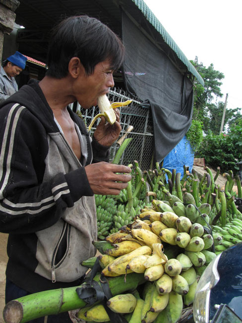 Nông dân khốn đốn vì giá chuối mật mốc chạm đáy - 4