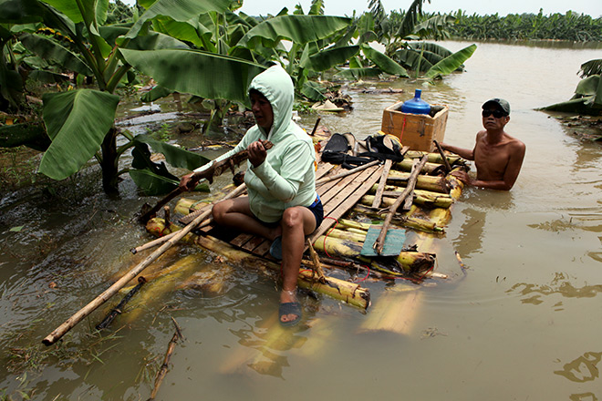 Gặp &#34;Robinson&#34; trên bãi giữa sông Hồng - 1