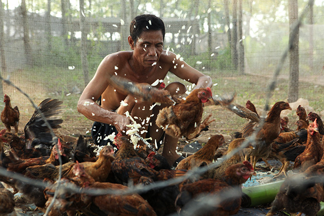 Gặp &#34;Robinson&#34; trên bãi giữa sông Hồng - 7