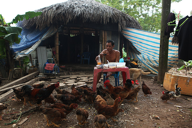 Gặp &#34;Robinson&#34; trên bãi giữa sông Hồng - 4