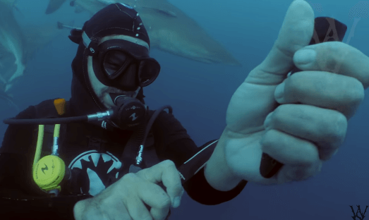 Thợ lặn Mỹ cắt tay trước đàn cá mập xem có bị xé xác - 1