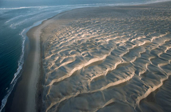 Cồn cát có hình gợn sóng do gió thổi trên bãi biển hoang vắng ở Baja California, Mexico.