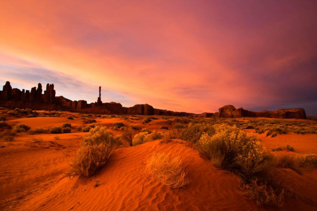 Cỏ lăn và các cồn cát trong công viên Thung lũng Navajo Tribal ở bang Arizona, Mỹ.