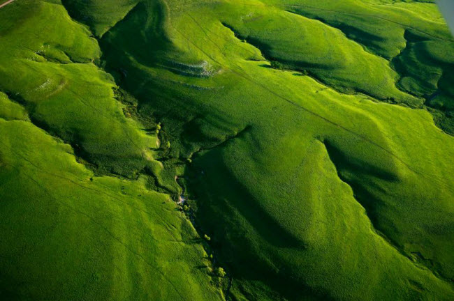 Các thao nguyên xanh mướt tại thung lũng Texaco Hill ở Beaumont, bang Kansas, Mỹ.