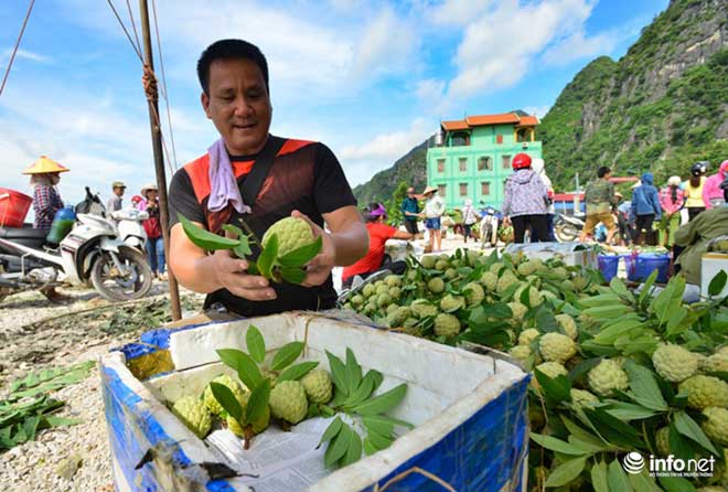 Chi Lăng vào mùa na, thương lái Việt Nam -Trung Quốc cạnh tranh tìm hàng &#34;đẹp&#34; - 10