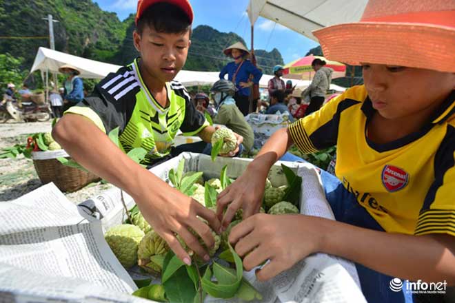 Chi Lăng vào mùa na, thương lái Việt Nam -Trung Quốc cạnh tranh tìm hàng &#34;đẹp&#34; - 11