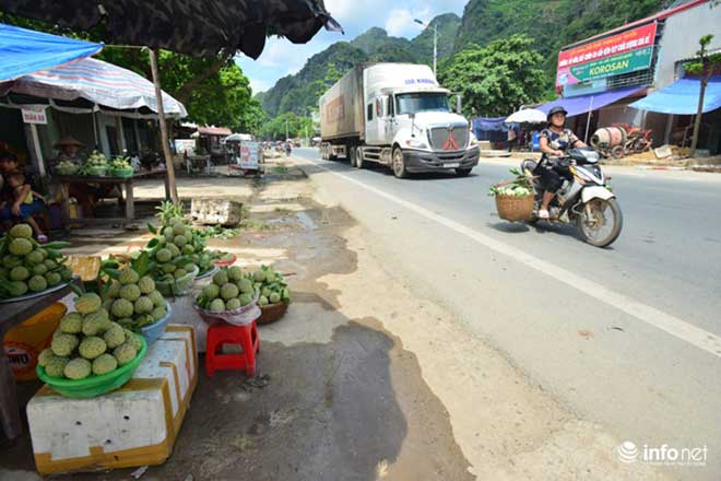 Chi Lăng vào mùa na, thương lái Việt Nam -Trung Quốc cạnh tranh tìm hàng &#34;đẹp&#34; - 13