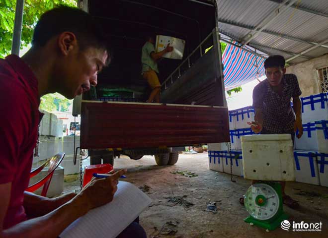 Chi Lăng vào mùa na, thương lái Việt Nam -Trung Quốc cạnh tranh tìm hàng &#34;đẹp&#34; - 4