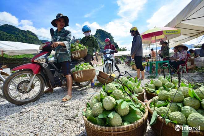 Chi Lăng vào mùa na, thương lái Việt Nam -Trung Quốc cạnh tranh tìm hàng &#34;đẹp&#34; - 7