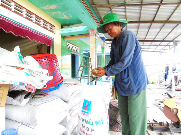 Nông dân có tiền tỷ: "Tui giàu là nhờ nấm rơm" - 1