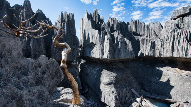 Kỳ quan rừng đá ít người có thể tới ở Madagascar - 1