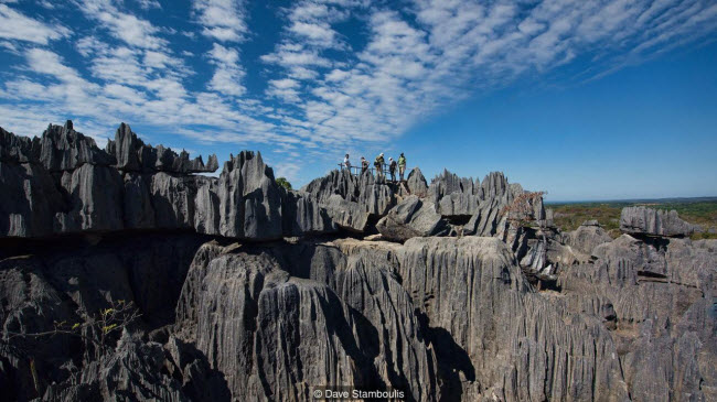 Kỳ quan rừng đá ít người có thể tới ở Madagascar - 7